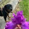 ellywalk